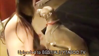 dogs need love