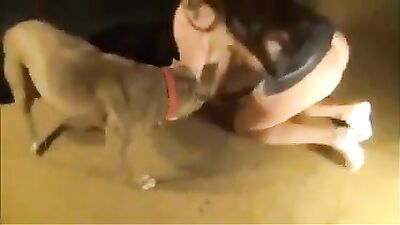 dogs need love