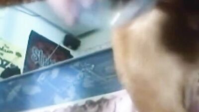 dog fucks teen
