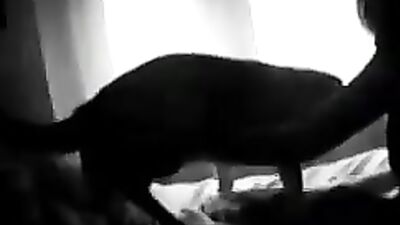 Sexy German Girl Masturbates with Her Dog