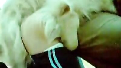 Dog pov fuck woman