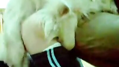 Dog pov fuck woman