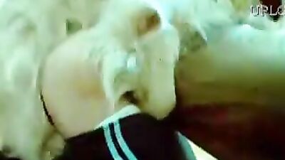 Dog pov fuck woman