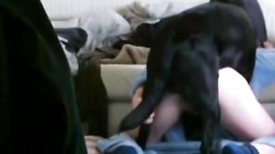 Brazillian Zoo Cuties Pup Pounder Orgy