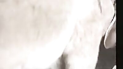 Mature Babe Sucks Donkey Dick