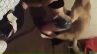 Dog humping Italian teen dog cums on her shorts