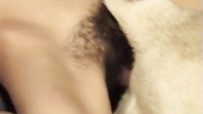 Animal Passion - SPERM DOGGIE