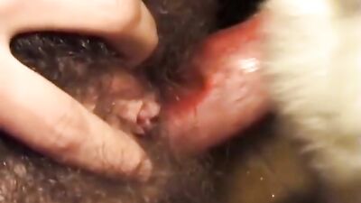 Animal Passion - SPERM DOGGIE