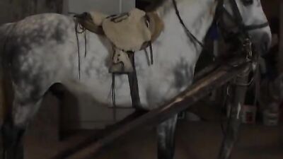 Alices Forbidden Threesome with a Hung Stallion