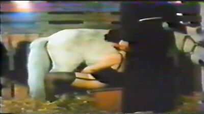 Horse Lovers 2