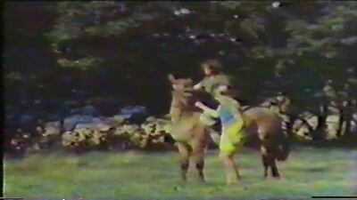 Horse sex Power