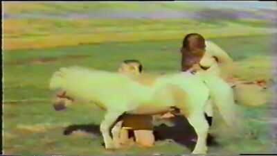 Horse sex Power