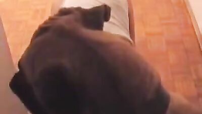 Wife Bends Over for Dogs Hard Fuc*