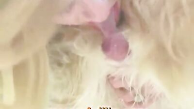 Adilia Live Dog Dildo