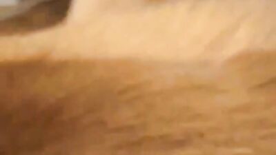 Dildo And Dog Fun