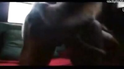 Noisy girl gets drilled and filled by large dog