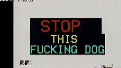 Stop this fucking dog