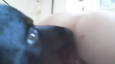Anime Bunny Banged Hard, Lathers in Cum