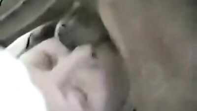 Deepthroat Bestiality