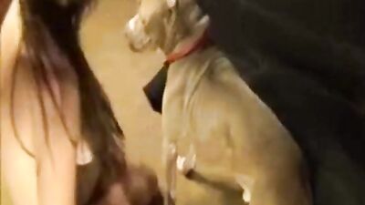 Luv my bitbull cock