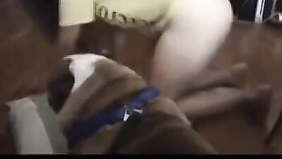 Bulldogge Dip in Tie