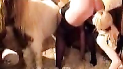 Different chics on a furry pony