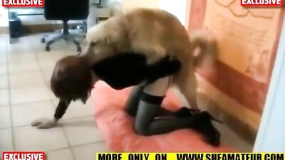 My wife likes to fuck with dog