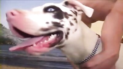 Passive sex with spotted dog.