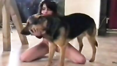 takes it hard dog