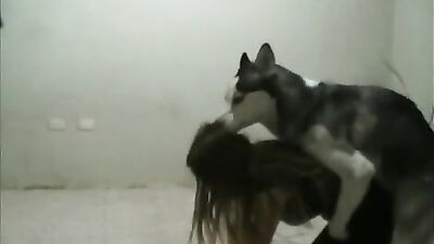 Mexzoo - Miss Fernanda teasing a horny Husky - full scene