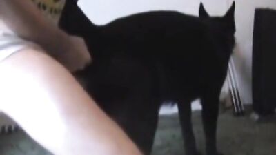 Clip Man fuck dog 6