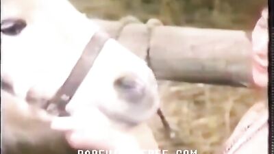 Pony and Pig Clip