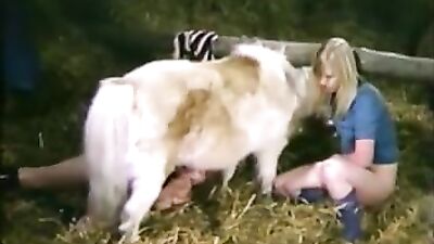 Sucking Pony