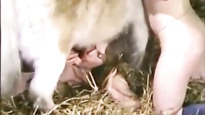 Sucking Pony