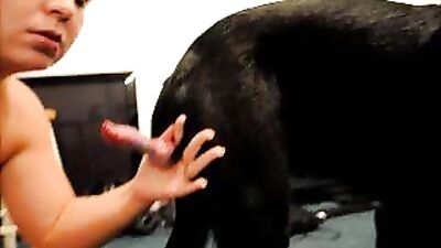 sucking the dog