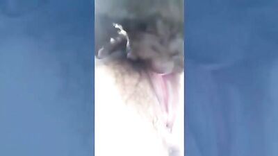 Lick Hairy Teen