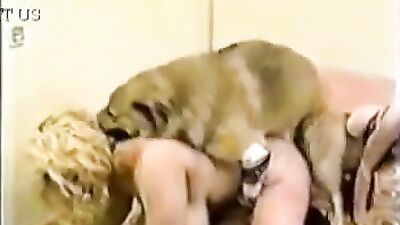Busty blonde and dog and brunette threesome