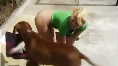 Dog and Domination