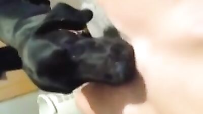 Cute dog licking her pussy