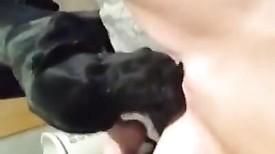 Cute dog licking her pussy