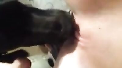 Cute dog licking her pussy