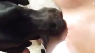 Cute dog licking her pussy