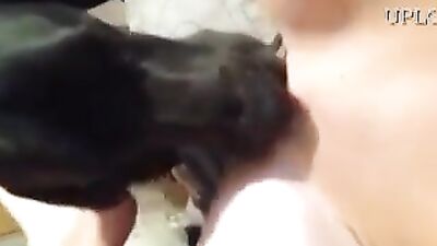 Cute dog licking her pussy
