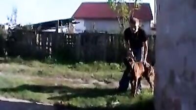 Boxer dog fucks with couple