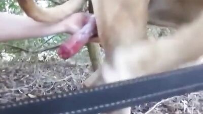 Furry Teen Gobbles Cock, Doused in Doggy Spunk