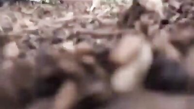 Furry Teen Gobbles Cock, Doused in Doggy Spunk