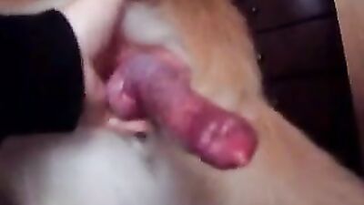 woman gold dog