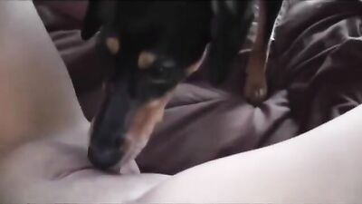 Whitney Wisconsin licked by a dog