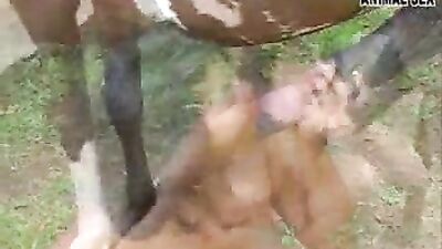 White bra latina horsecock sucking