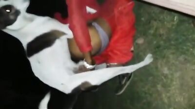 Hungry Street Dog Devours Curvy Trans Girls Boobs And Cock